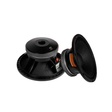 Gold Audio HP-612 12 inç Çıplak Hoparlör