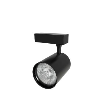 YCL YRS-3000B 30W Led Ray Spot Siyah Kasa Beyaz