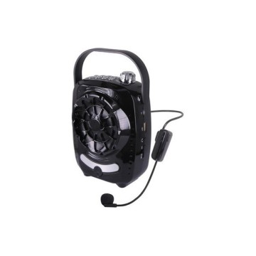 Gold Audio GR-11 Usb / Sd / Bluetooth Hoparlör