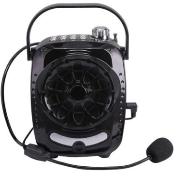 Gold Audio GR-21 Usb / Sd / Bluetooth Hoparlör