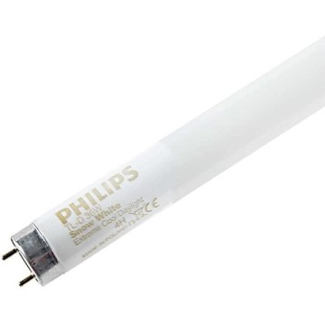 Philips TL-D 36W Snow White Floresan
