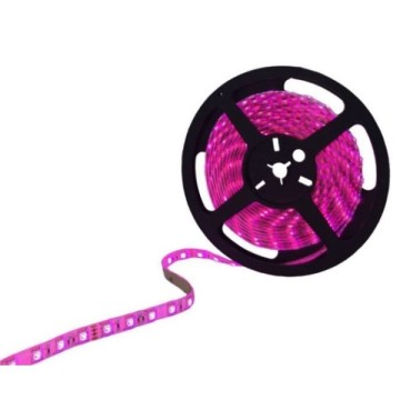 3 Çipli Şerit Led İç Mekan Pembe