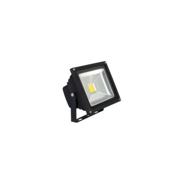 YCL YFL-1030G 30W Günışığı Cob Led Projektör