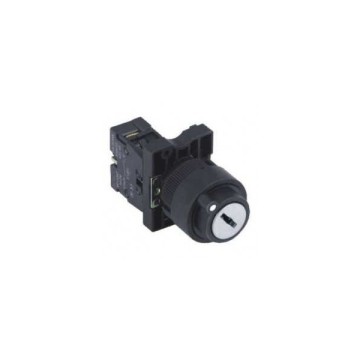 Swion LAY5-EG21 22 MM Key Buton