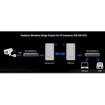 Ruijie RG-EST310 Dış Ortam 867 Mbps 2li Access Poi