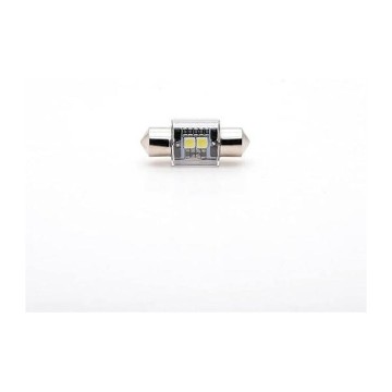 Photon C10W 12V Sofit Led Ampul 30mm