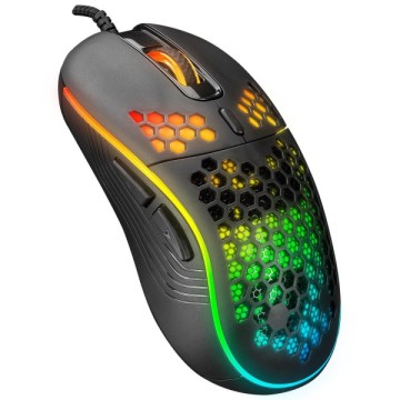 Everest SM-G66 X-Hole RGB Siyah Usb Oyuncu Mouse