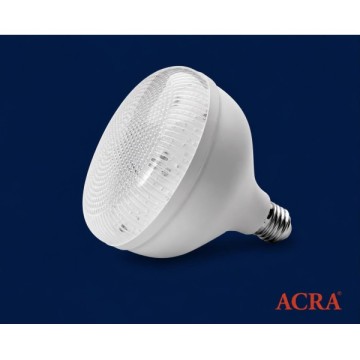 Acra AR1210 20W Kristal Led Torch Ampul Beyaz